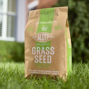 O.M. Scott & Sons™ Tall Fescue Blend Grass Seed